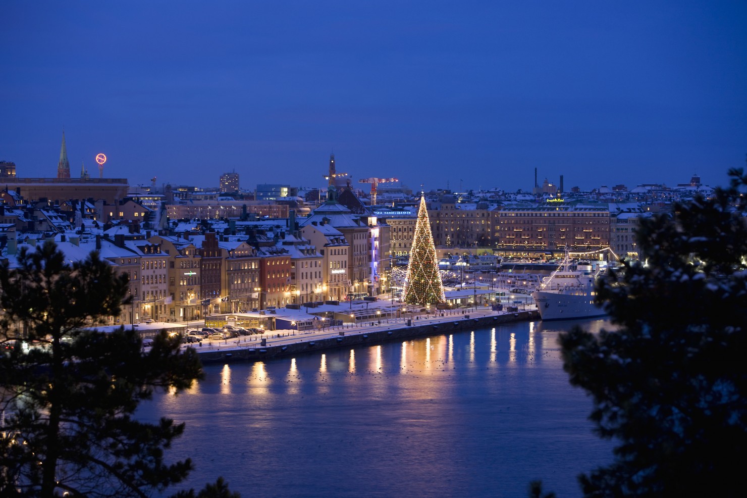 Stockholm_henrik_trygg-skeppsbron_at_christmas-1248