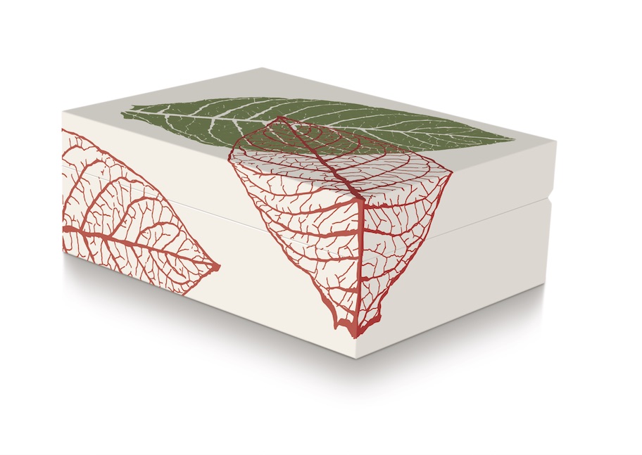 Zino_Graphic_Leaf_Humidor_Beige