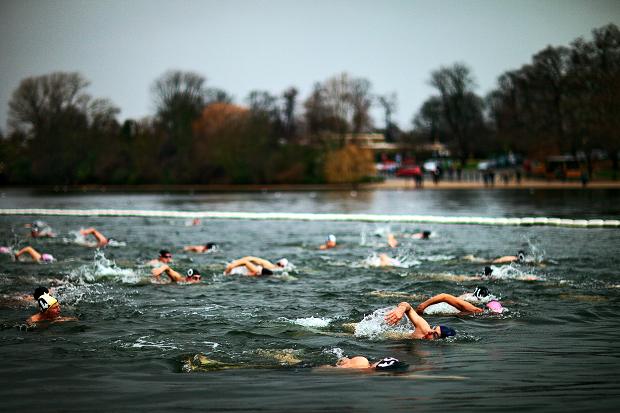 Serpentine Swimming Club
