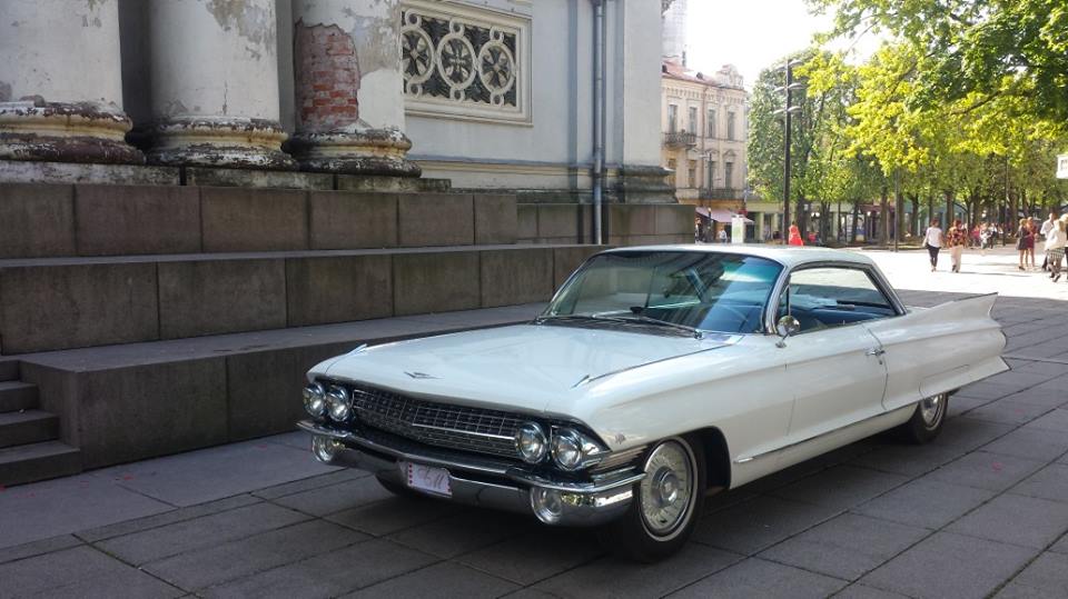 10547460_10202562312840907_9189426203515064148_n