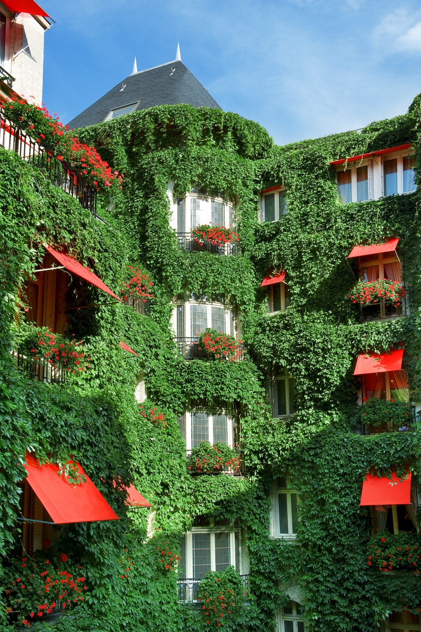 H5PE9_63703271_La_Cour_Jardin_(c)_Frederic_Ducout