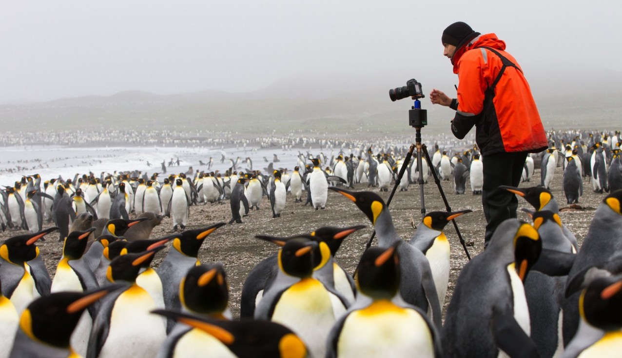 uli_kunz_penguins_richard_sidey