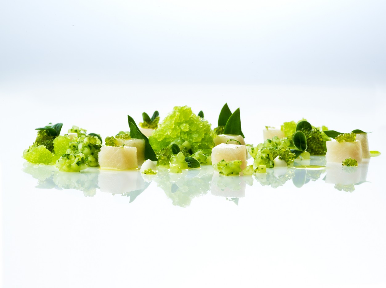 Gelbflossenmakrele_mit_Apfel__Gurke_und_Wasabi