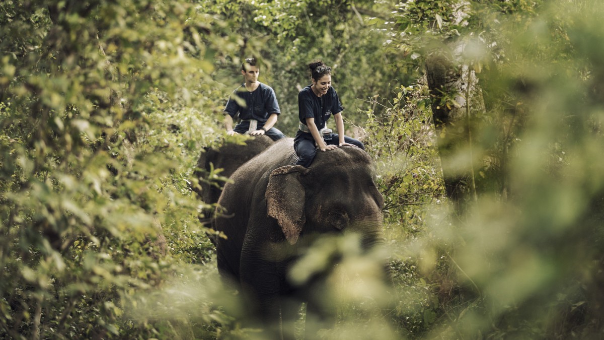 CHR_364_aspect16x9 (2)