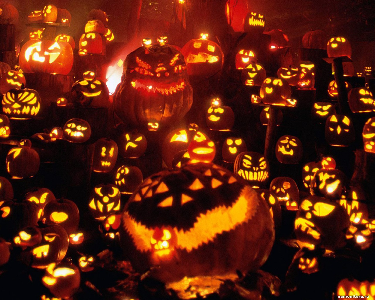 tak_mnogo_raznih_tikv_1280