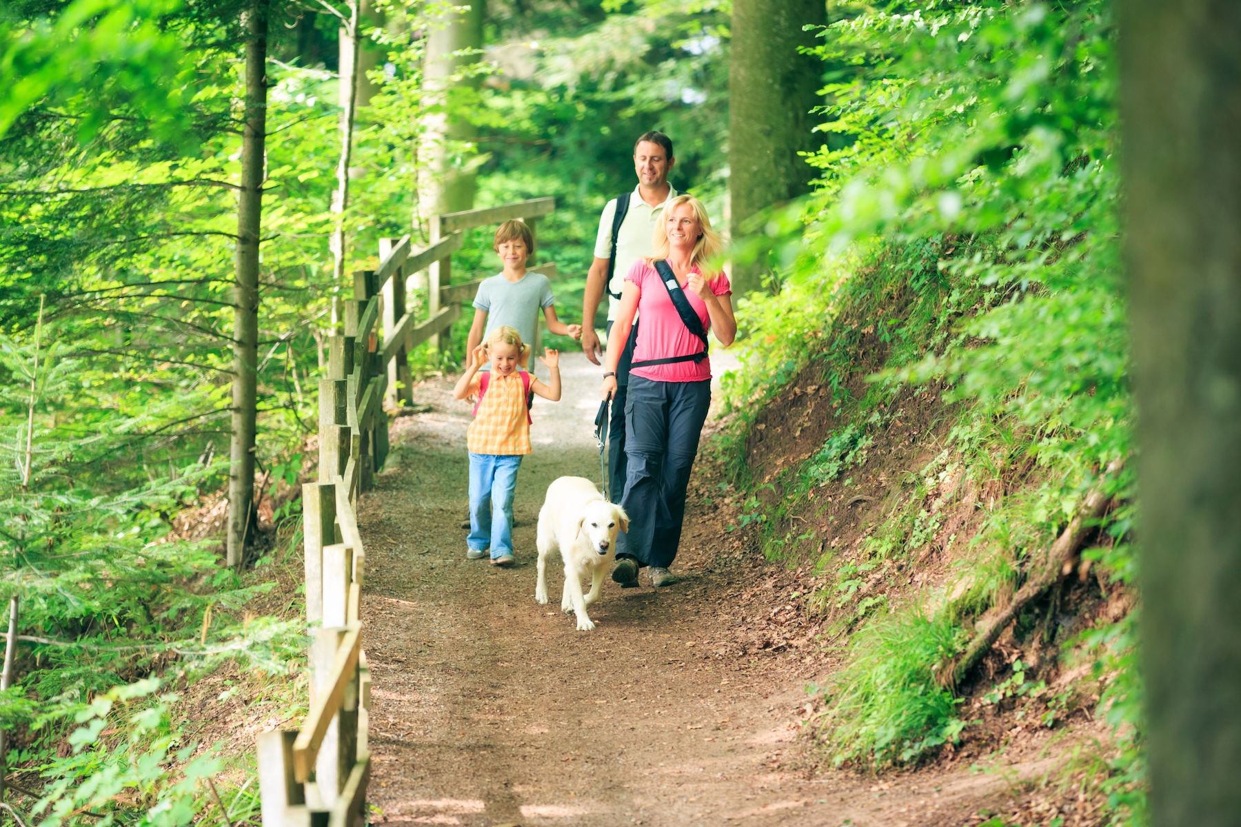 Находиться на свежем воздухе. Прогулки на свежем воздухе. Прогулка в лесу. Пешие прогулки в лесу. Семья на прогулке в лесу.