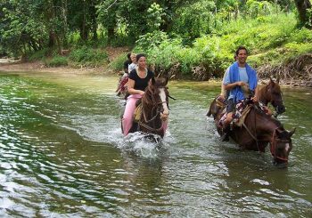 В тренде — эко