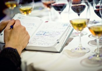 «Ешь, пей, голосуй». За кулисами фестиваля