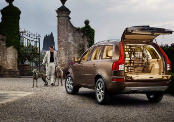 Лучший из лучших