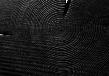 Дизайнерские процессы крупным планом: Зима