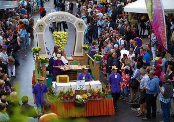 Хвала вину!