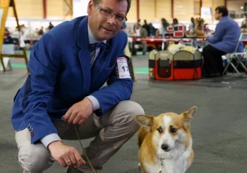 Хвостатые и усатые приглашают на выставку “ZooExpo 2017”