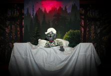 Приходите в гости к сказке, где куклы говорят по-русски