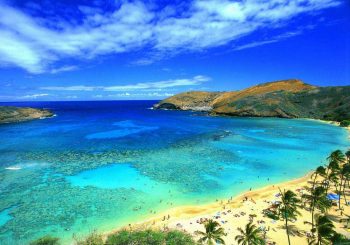 Жизнь на Гавайях