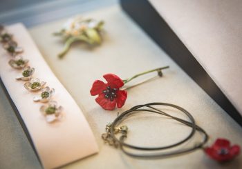 Цветы цветут