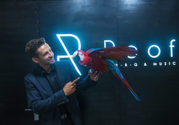 Roof Bar. Релакс на крыше