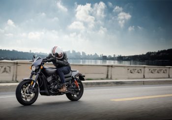 Мускулистый боец