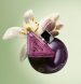 Prada Paradoxe Sweet Chemistry: сладкое притяжение, построенное на контрастах