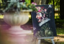 B эти выходные в Пакруойской усадьбе начинается фестиваль тюльпанов и весенних цветов