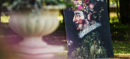 B эти выходные в Пакруойской усадьбе начинается фестиваль тюльпанов и весенних цветов