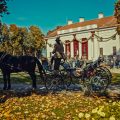 Совершенство в четыре руки: Анн-Софи Пик — специальный гость отеля Ritz Paris