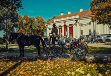 В Пакруойской усадьбе — месяц сеньоров: специальные предложения и осенняя красота, которой вы ещё не видели