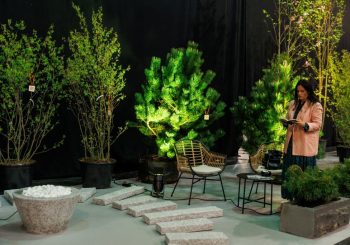 Получите вдохновение на выставке «Сад и стиль жизни!»