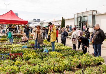 Подготовься к садовому сезону с вдохновением на выставке  «Сад и стиль жизни 2025» на Кипсале