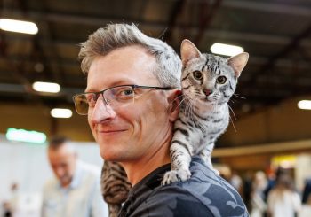 Домашние любимцы с выставки «Латвийский победитель» станут чемпионами