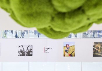 Анализ сделанных с помощью телефона фотографий со всего мира говорит об изменениях в обществе