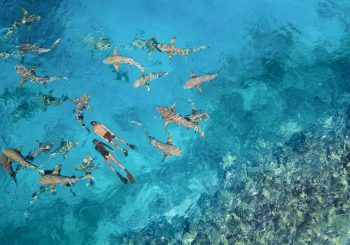 Мальдивы | открытие после реновации курорта Anantara Veli Maldives
