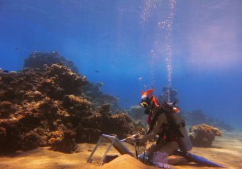 Единственный в мире подводный художник Ольга Белка этим летом будет писать на Мальдивах