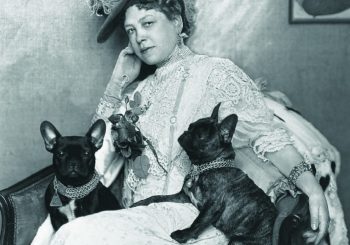 Sacher: вначале был торт