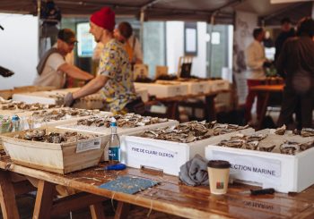 В Риге пройдет 10-й юбилейный фестиваль устриц