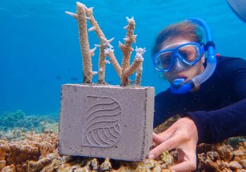 Помогайте кораллам вместе с Baros Maldives