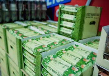 Lidl успокаивает: без яиц «свободного выгула» не останемся
