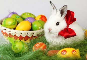 Отдыхаем по полной