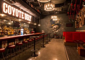 «Койотки» сменили прописку