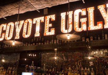 Встречаем осень в «Койоте»