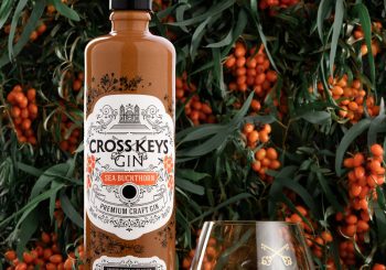 В Латвии произведен уникальный джин – облепиховый Cross Keys Gin