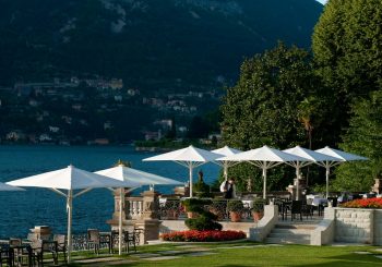 Жизнь на широкую лапу