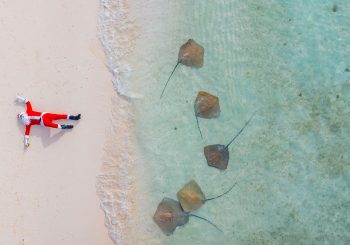 Banyan Tree: к праздникам готовы