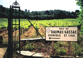 Mas de Daumas Gassac. Grand Cru вне апелляции