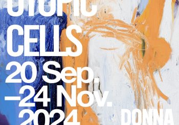 Zuzeum. «Утопические клетки» Хуанки