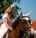 Элегантный праздник конного спорта в Пакруойской усадьбе: конкур, Hobby Horse и особая гостья из Латвии