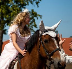 Элегантный праздник конного спорта в Пакруойской усадьбе: конкур, Hobby Horse и особая гостья из Латвии
