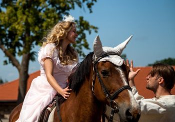 Элегантный праздник конного спорта в Пакруойской усадьбе: конкур, Hobby Horse и особая гостья из Латвии