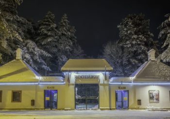 «Зимние ночи» возвращаются в Рижский зоопарк