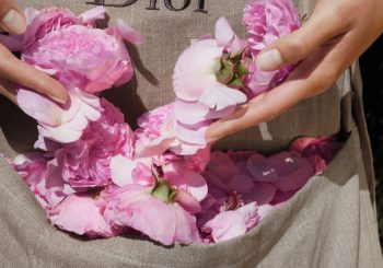 Miss Dior Rose N’Roses или Чем пахнет любовь