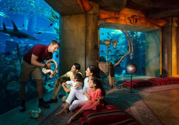 Семейный отдых в Дубае – учиться, совершать открытия, исследовать и развиваться